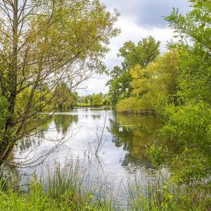 Water view featuring a forest