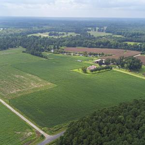 View of rural area with large plots for crops