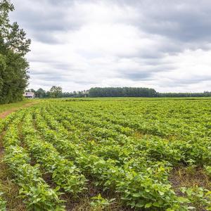 View of local wilderness with rural landscape and