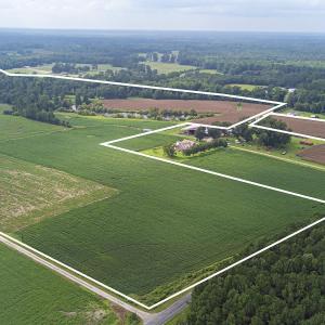 View of rural area with large plots for crops and