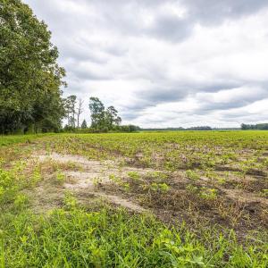 View of undeveloped land with rural landscape and