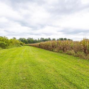 View of grassy yard with a view of countryside