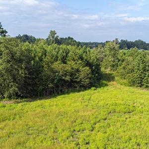 View of wooded area