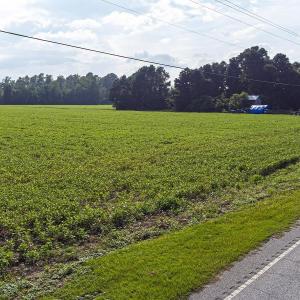View of asphalt road featuring a rural view