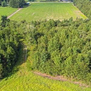 Bird's eye view of a heavily wooded area