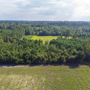 Drone / aerial view of a heavily wooded area