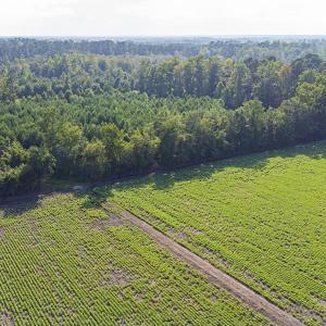 Aerial view of a heavily wooded area