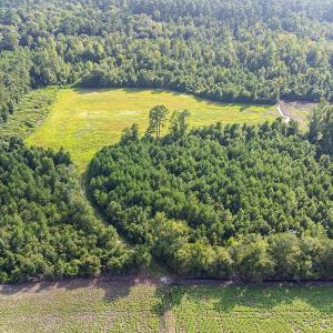 Bird's eye view of a heavily wooded area