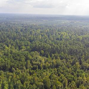 Aerial view of a heavily wooded area