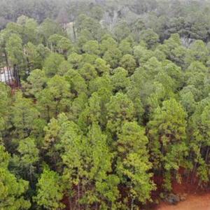 Photo #7 of 4389 Parkland Dr., Myrtle Beach, SC 1.2 acres