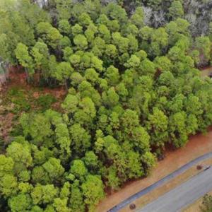 Photo #10 of 4389 Parkland Dr., Myrtle Beach, SC 1.2 acres