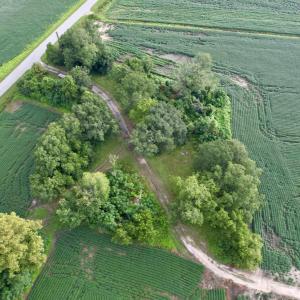 Photo #19 of 1335 Norwood Rd., Olanta, SC 175.0 acres