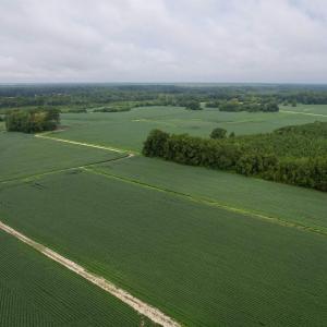 Photo #38 of 1335 Norwood Rd., Olanta, SC 175.0 acres