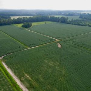 Photo #29 of 1335 Norwood Rd., Olanta, SC 175.0 acres