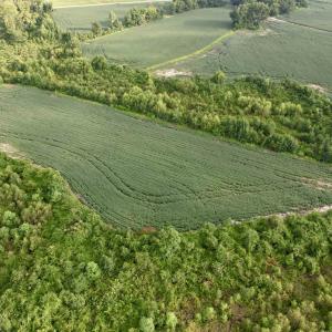 Photo #21 of 1335 Norwood Rd., Olanta, SC 175.0 acres