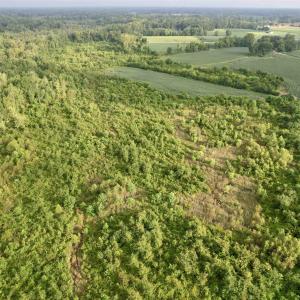 Photo #18 of 1335 Norwood Rd., Olanta, SC 175.0 acres