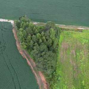 Photo #37 of 1335 Norwood Rd., Olanta, SC 172.0 acres