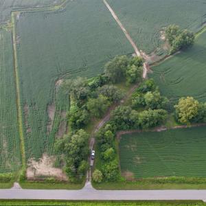 Photo #26 of 1335 Norwood Rd., Olanta, SC 172.0 acres