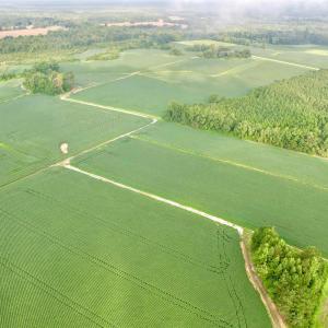 Photo #2 of 1335 Norwood Rd., Olanta, SC 172.0 acres