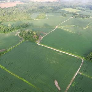 Photo #1 of 1335 Norwood Rd., Olanta, SC 172.0 acres