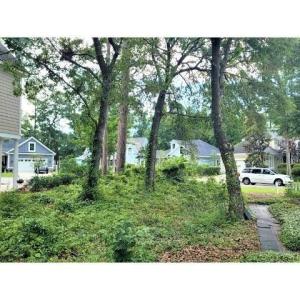 View of yard with view of scattered trees