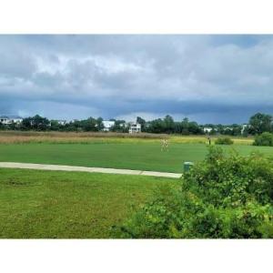 View of home's community with a lawn