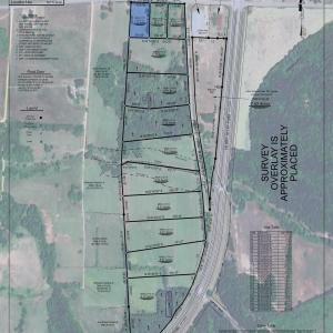 Photo #2 of 3119 Bluff Rd., Marion, SC 1.7 acres