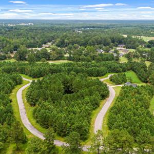 Photo #19 of TBD Pembroke Blvd., Johnsonville, SC 53.0 acres