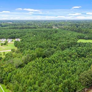 Photo #6 of TBD Pembroke Blvd., Johnsonville, SC 53.0 acres