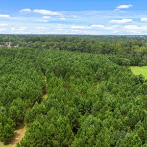 Photo #16 of TBD Pembroke Blvd., Johnsonville, SC 53.0 acres