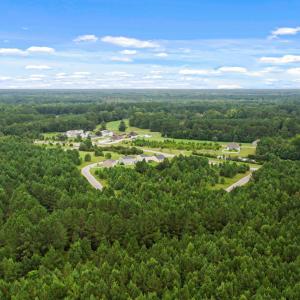 Photo #8 of TBD Pembroke Blvd., Johnsonville, SC 53.0 acres
