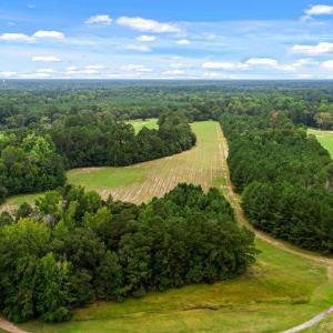 Photo #24 of TBD Pembroke Blvd., Johnsonville, SC 53.0 acres