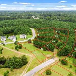 Photo #3 of TBD Pembroke Blvd., Johnsonville, SC 53.0 acres