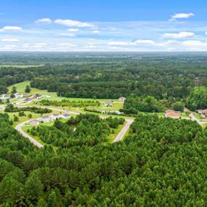 Photo #10 of TBD Pembroke Blvd., Johnsonville, SC 53.0 acres