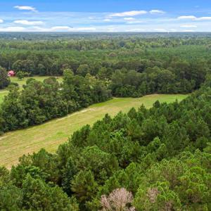 Photo #22 of TBD Pembroke Blvd., Johnsonville, SC 53.0 acres