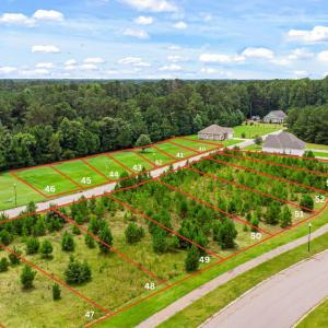 Photo #4 of TBD Pembroke Blvd., Johnsonville, SC 53.0 acres