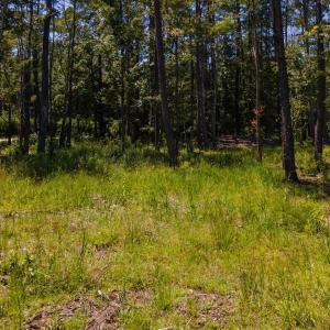 Photo #21 of 3598 Steamer Trace Rd., Conway, SC 1.4 acres