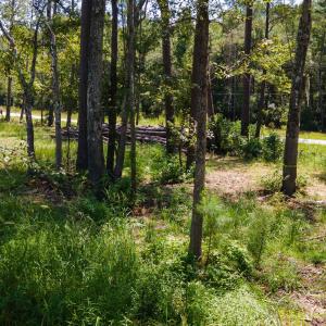 Photo #17 of 3598 Steamer Trace Rd., Conway, SC 1.4 acres