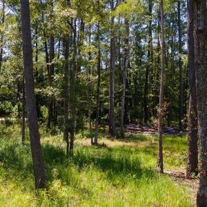 Photo #16 of 3598 Steamer Trace Rd., Conway, SC 1.4 acres
