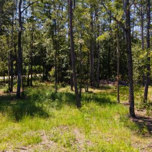 Photo #12 of 3598 Steamer Trace Rd., Conway, SC 1.4 acres