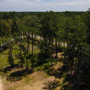Photo #6 of 3598 Steamer Trace Rd., Conway, SC 1.4 acres