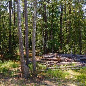 Photo #13 of 3598 Steamer Trace Rd., Conway, SC 1.4 acres