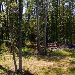 Photo #9 of 3598 Steamer Trace Rd., Conway, SC 1.4 acres
