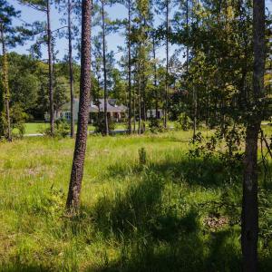 Photo #23 of 3598 Steamer Trace Rd., Conway, SC 1.4 acres