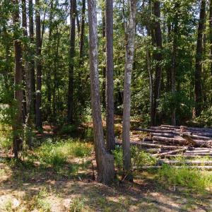Photo #14 of 3598 Steamer Trace Rd., Conway, SC 1.4 acres