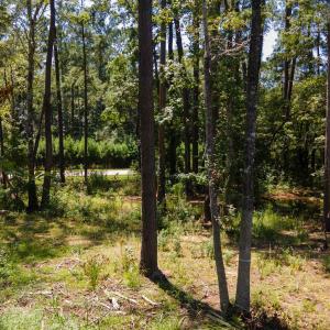 Photo #10 of 3598 Steamer Trace Rd., Conway, SC 1.4 acres