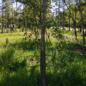 Photo #27 of 3598 Steamer Trace Rd., Conway, SC 1.4 acres