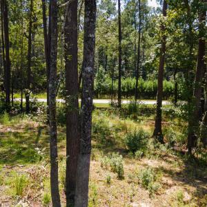 Photo #19 of 3598 Steamer Trace Rd., Conway, SC 1.4 acres