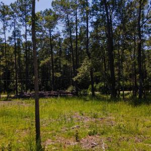 Photo #24 of 3598 Steamer Trace Rd., Conway, SC 1.4 acres