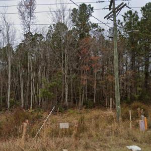Photo #3 of TBD Highway 90, Conway, SC 0.9 acres